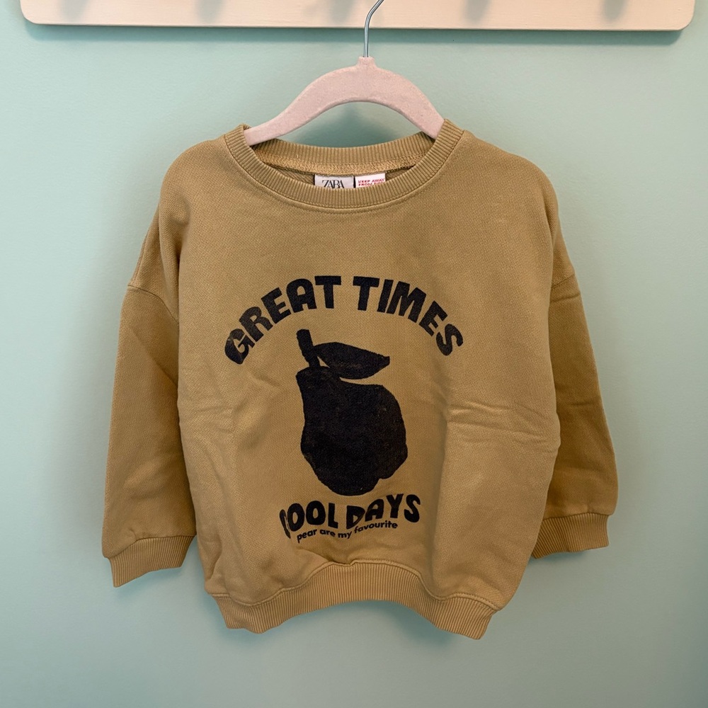 ZARA FRUIT PRINTED SWEATSHIRT